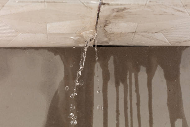 Professional Structural Drying technician working in Zieglerville, PA